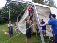 Plants: Bild 2 von 4 thumb