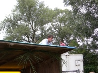 Plants: Bild 3 von 4 thumb