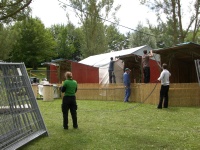 Plants: Bild 3 von 4 thumb