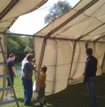 Plants: Bild 3 von 4 thumb