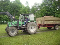 Plants: Bild 1 von 4 thumb