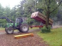 Plants: Bild 3 von 4 thumb