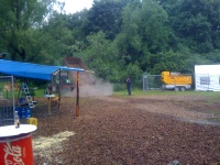 Plants: Bild 3 von 4 thumb